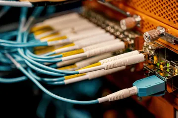Fiber-optic cables plugged into a network switch